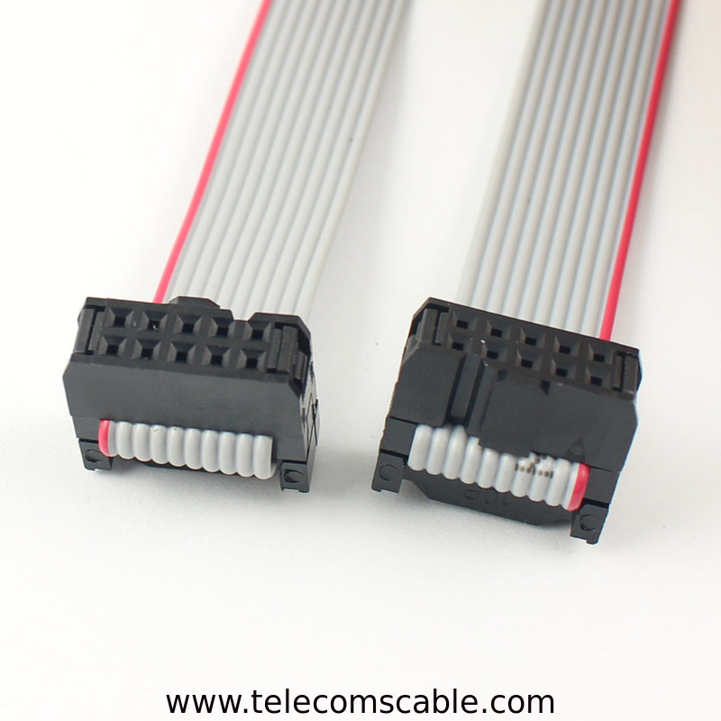 Flexible Flat Ribbon Cable Assembly 2.54mm Pitch Double Row 10Pin