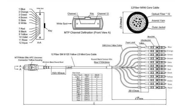 20200605102746 25417 - 40G MPO-LC Fiber Breakout Cable Om3 8 core Optic Patch Cord