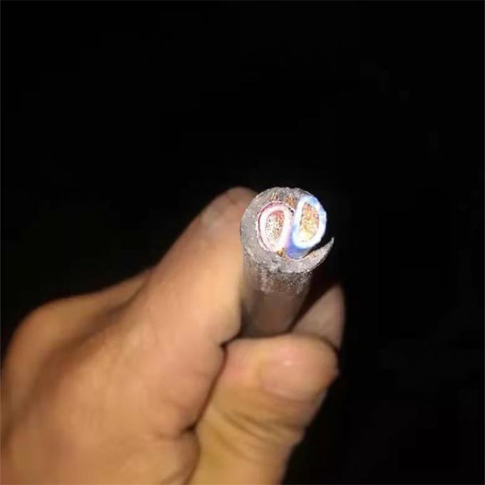 600V UL2586 RRU DC power cable D type 2x12AWG / 2x10AWG / 2x6mm2 RRU DC power cable for Huawei ZTE base stations 600V 2586 RRU Power Cable D Type 2x10AWG / 2x6mm² Shield For Outdoor 4